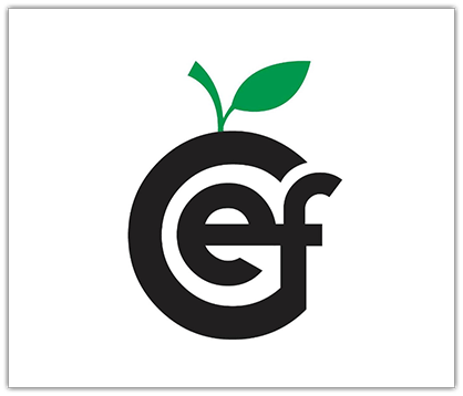 Education Foundation logo